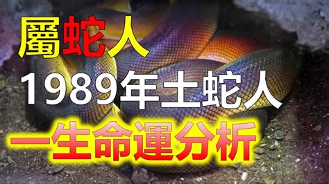 1989 蛇|1989年屬蛇人：一生的性格及命運